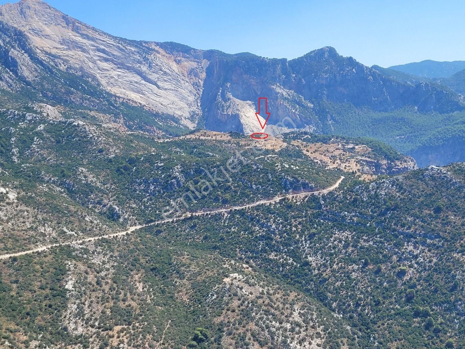 Goldhouse Dan Satılık Karaağaç Kozağacı Nda Deniz Manzaralı Tarla - Görsel 4