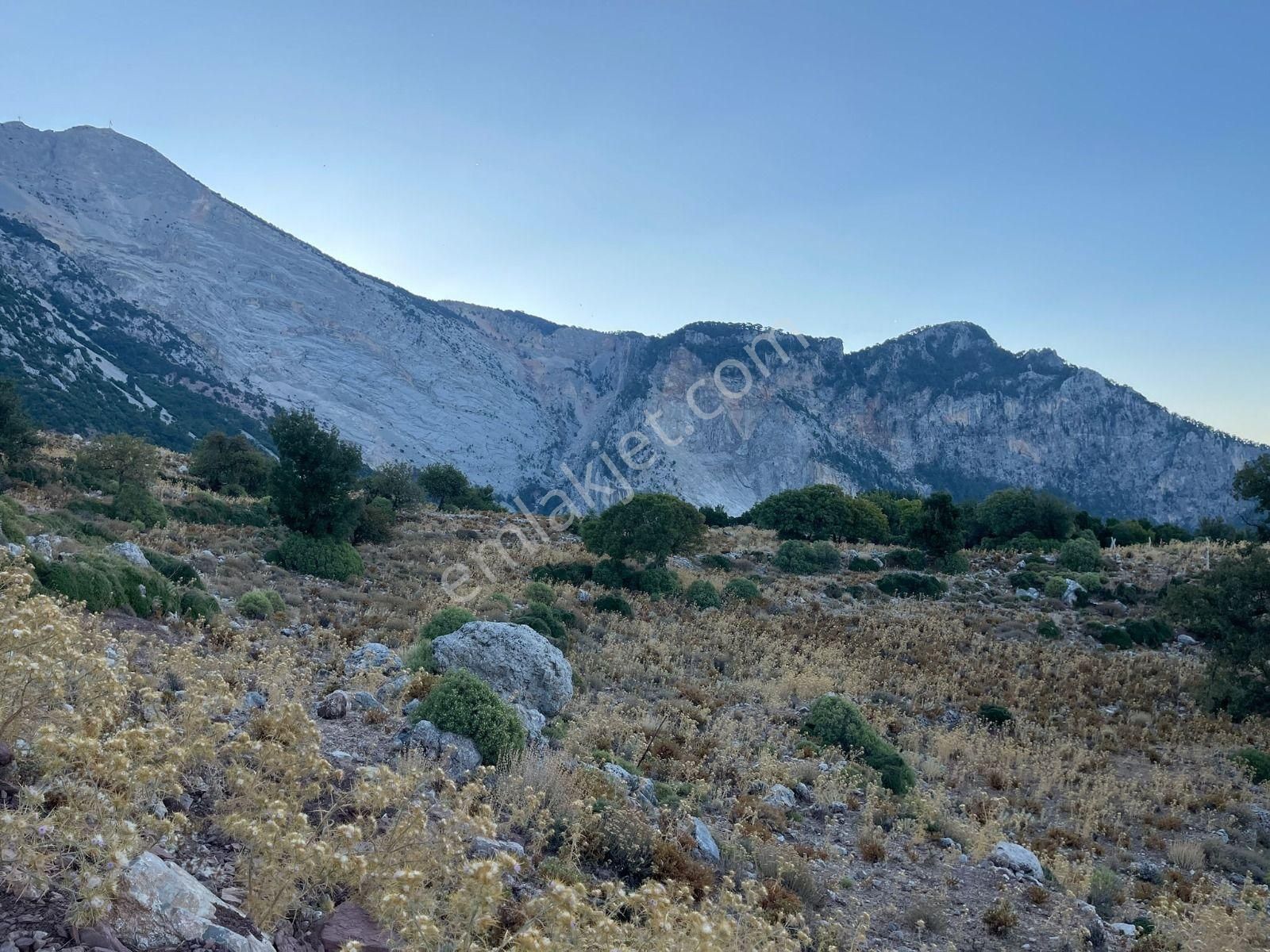 Goldhouse Dan Satılık Karaağaç Kozağacı Nda Deniz Manzaralı Tarla - Görsel 15
