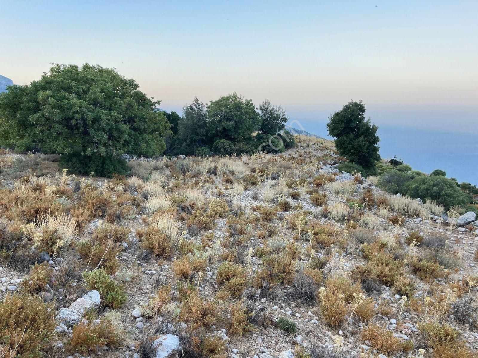 Goldhouse Dan Satılık Karaağaç Kozağacı Nda Deniz Manzaralı Tarla - Görsel 14