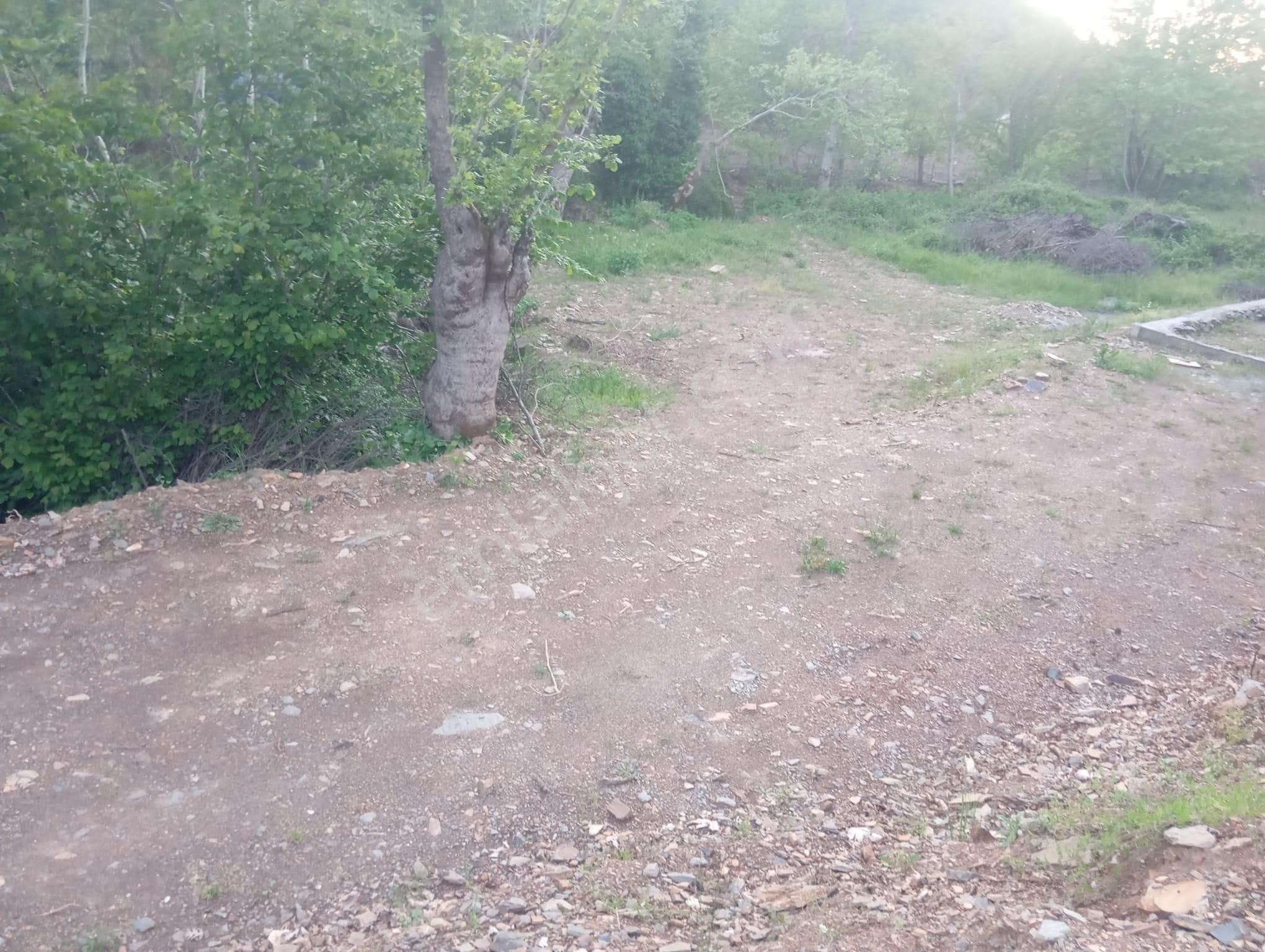 Ağabey Gayrimenkul'den Dağyeniköy Mahallesinde Satılık Hobi Bahçesi Yapımına Uygun Arazi - Görsel 20