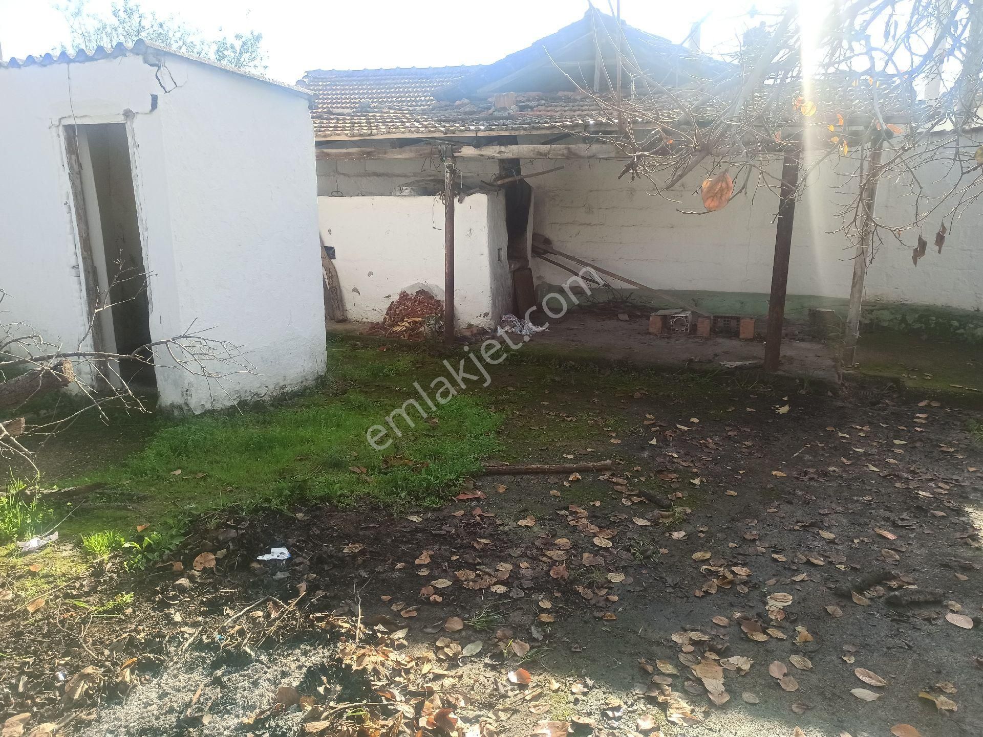 Bergama Dağıstan Köyünde Satılık - Görsel 13