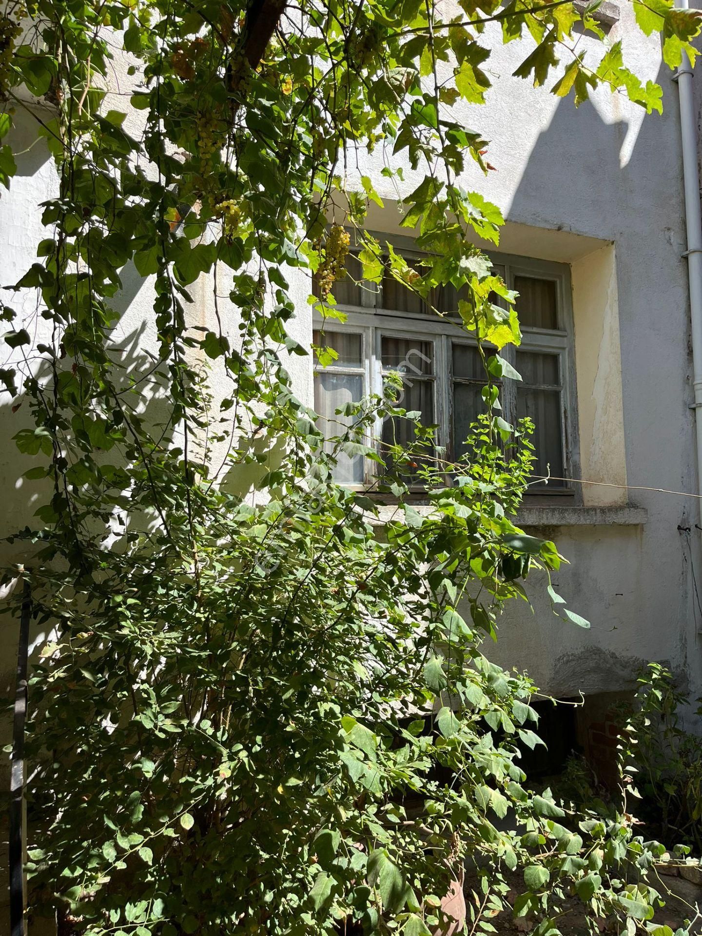 Havran Merkezde Müştemalatlı Müstakil Ev - Görsel 18