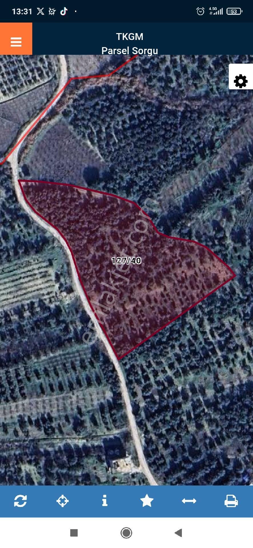 Palantepede Satılık Zeytin Bahçesi