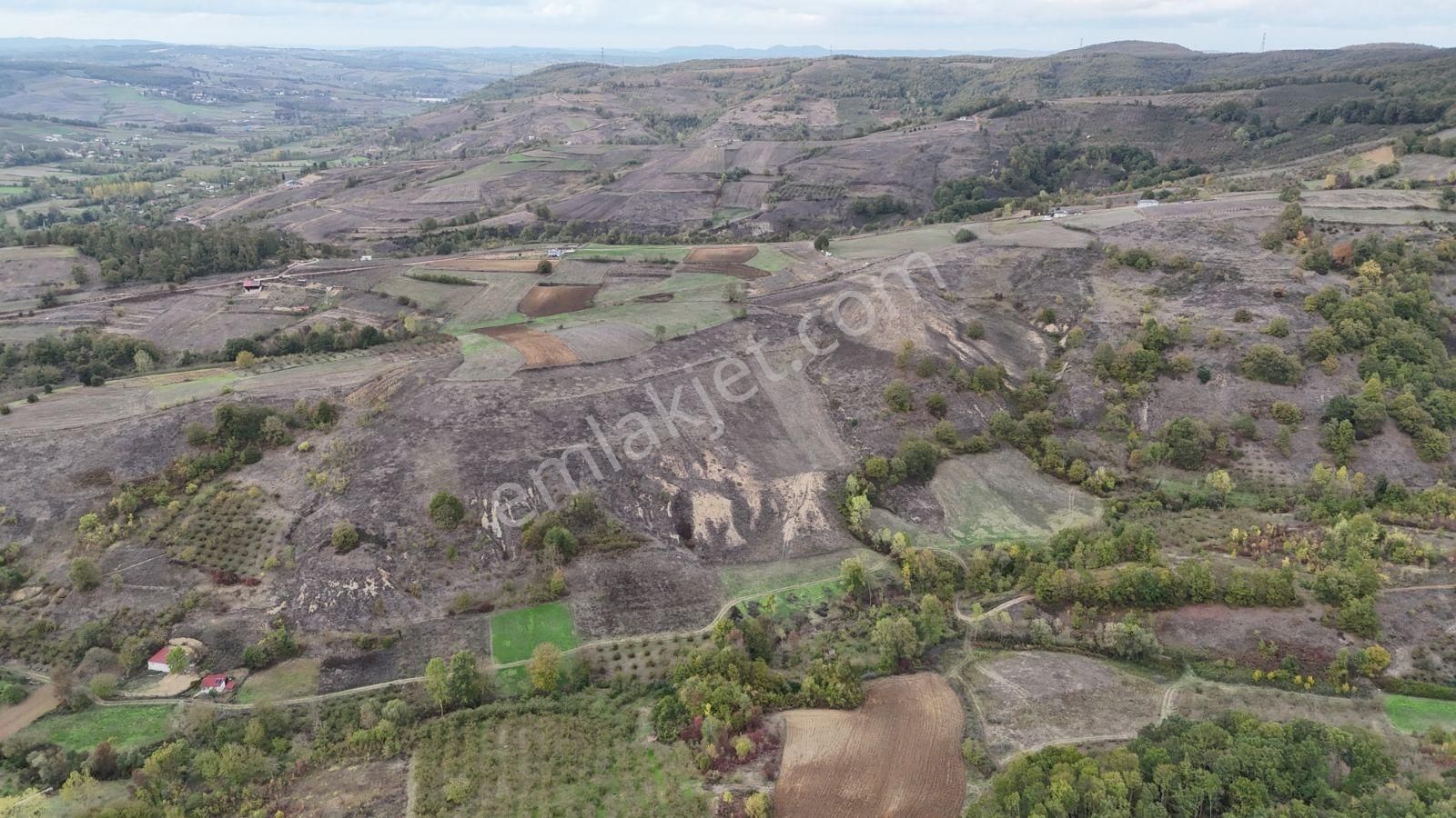 Tarcanlar'dan Elmacık Köyünde 941 M² Muhteşem Konum Uygun Fiyat - Görsel 3