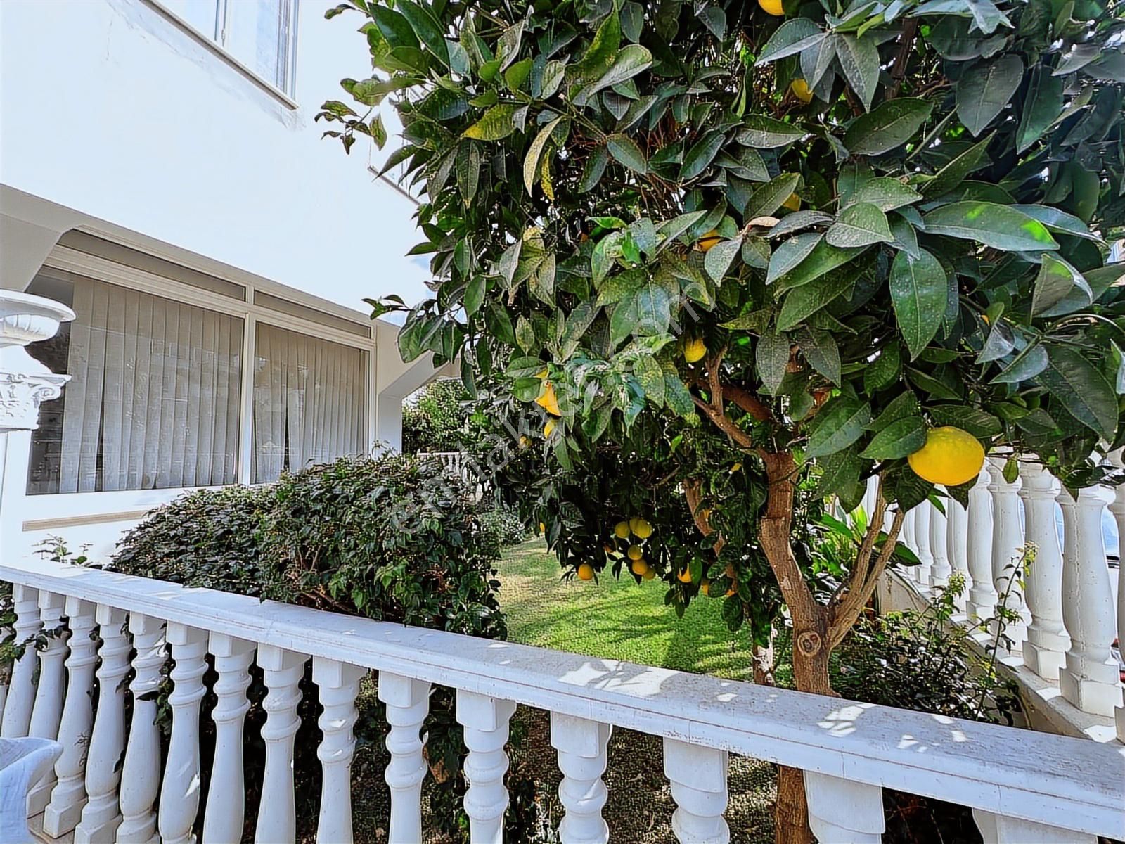 Obagöl 2+1 Eşyalı İkamete Uygun - Görsel 9