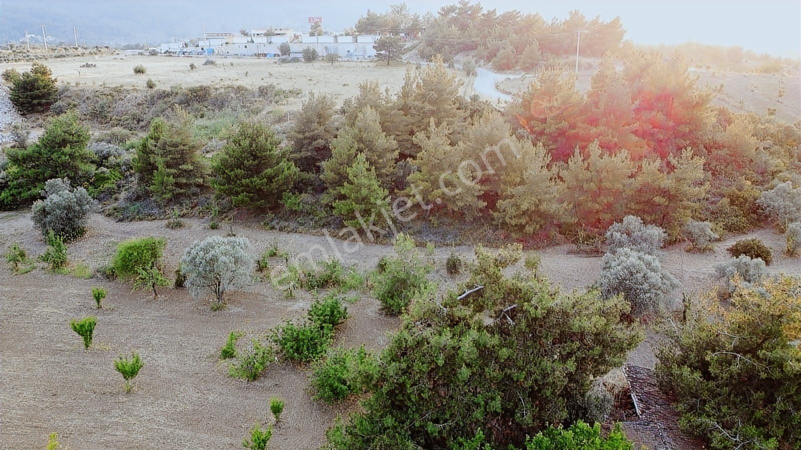 Kemalpaşa Gölet Yanı Satılık 38 Dönüm Arazi - Görsel 4