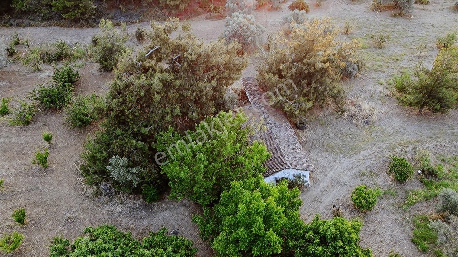 Kemalpaşa Gölet Yanı Satılık 38 Dönüm Arazi - Görsel 11