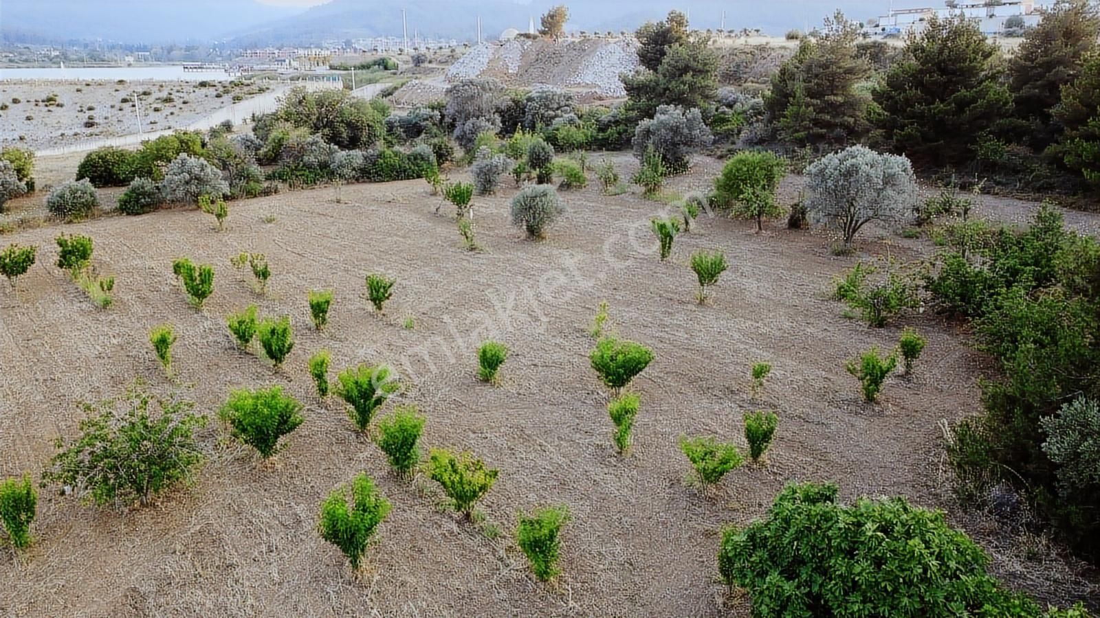 Kemalpaşa Gölet Yanı Satılık 38 Dönüm Arazi - Görsel 16