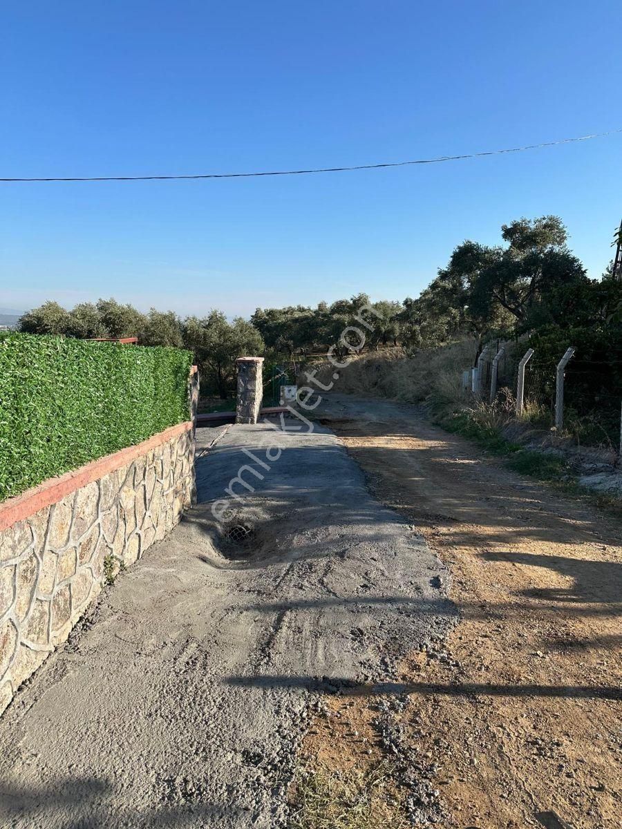 Kemalpaşa Armutlu'da Çarşıklı Mevkinde Satılık 4523 M2 Bahçe - Görsel 9