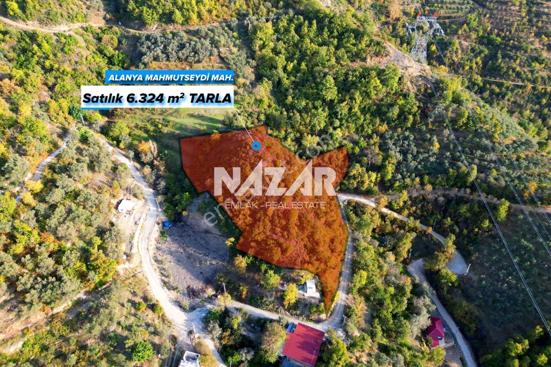 Alanya Mahmutseydi’de 6.324 M² Satılık Tarla - Görsel 2