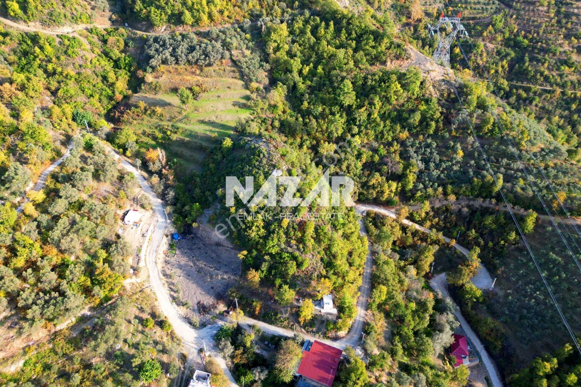 Alanya Mahmutseydi’de 6.324 M² Satılık Tarla