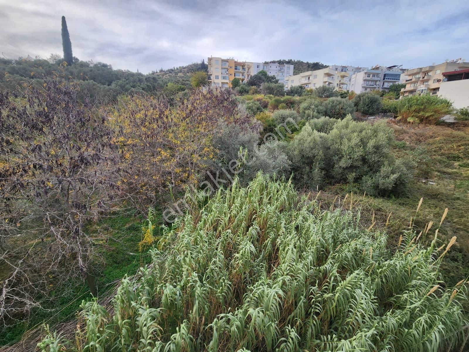 Akinitadan Konakta Çarşı Merkeze Yakın Satılık 2+1 Ferah Daire - Görsel 18
