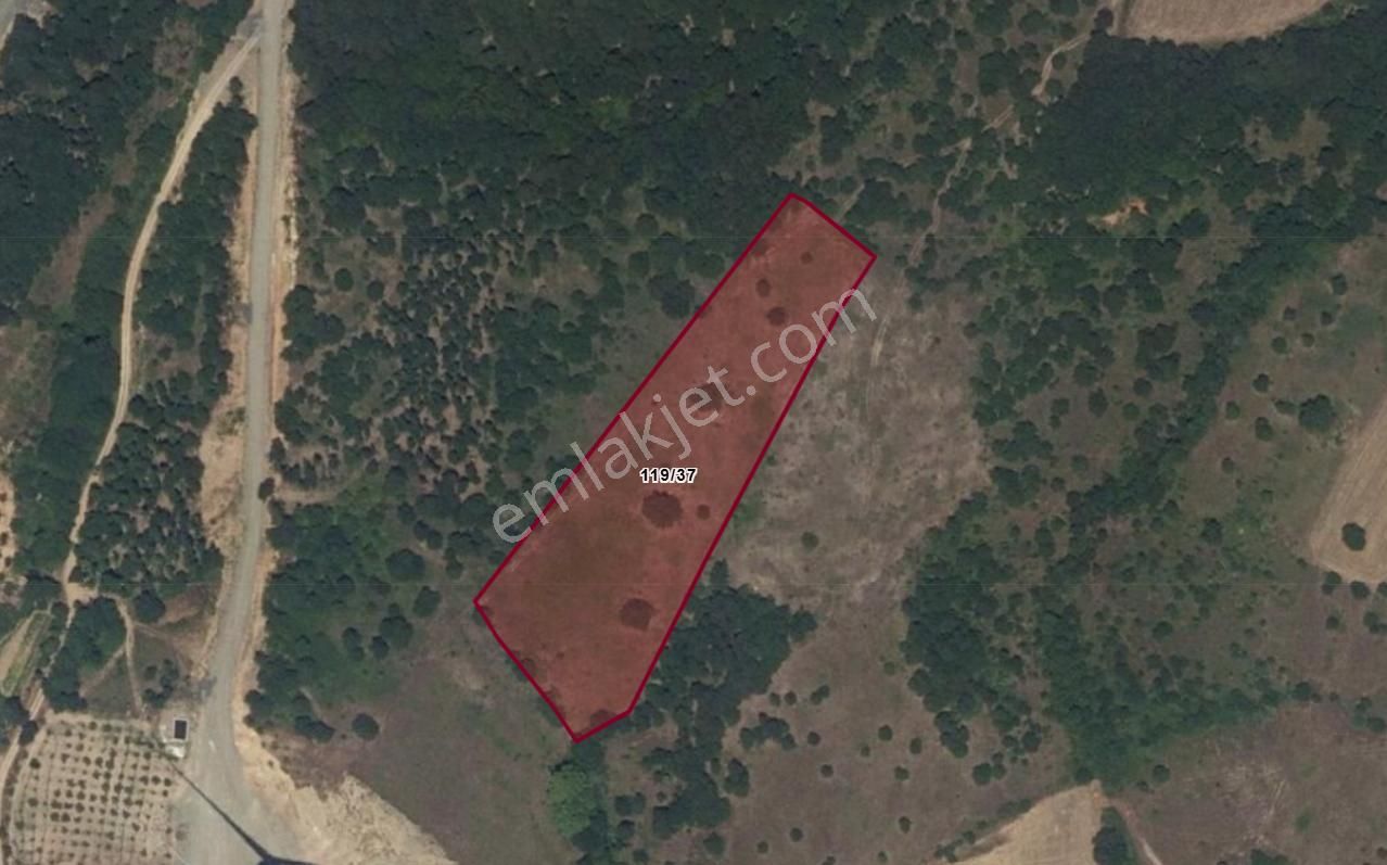 Remax Ömer'den Fırsat Satılık 8.866 M2 Tarla Çanakkale / Lapseki - Görsel 5