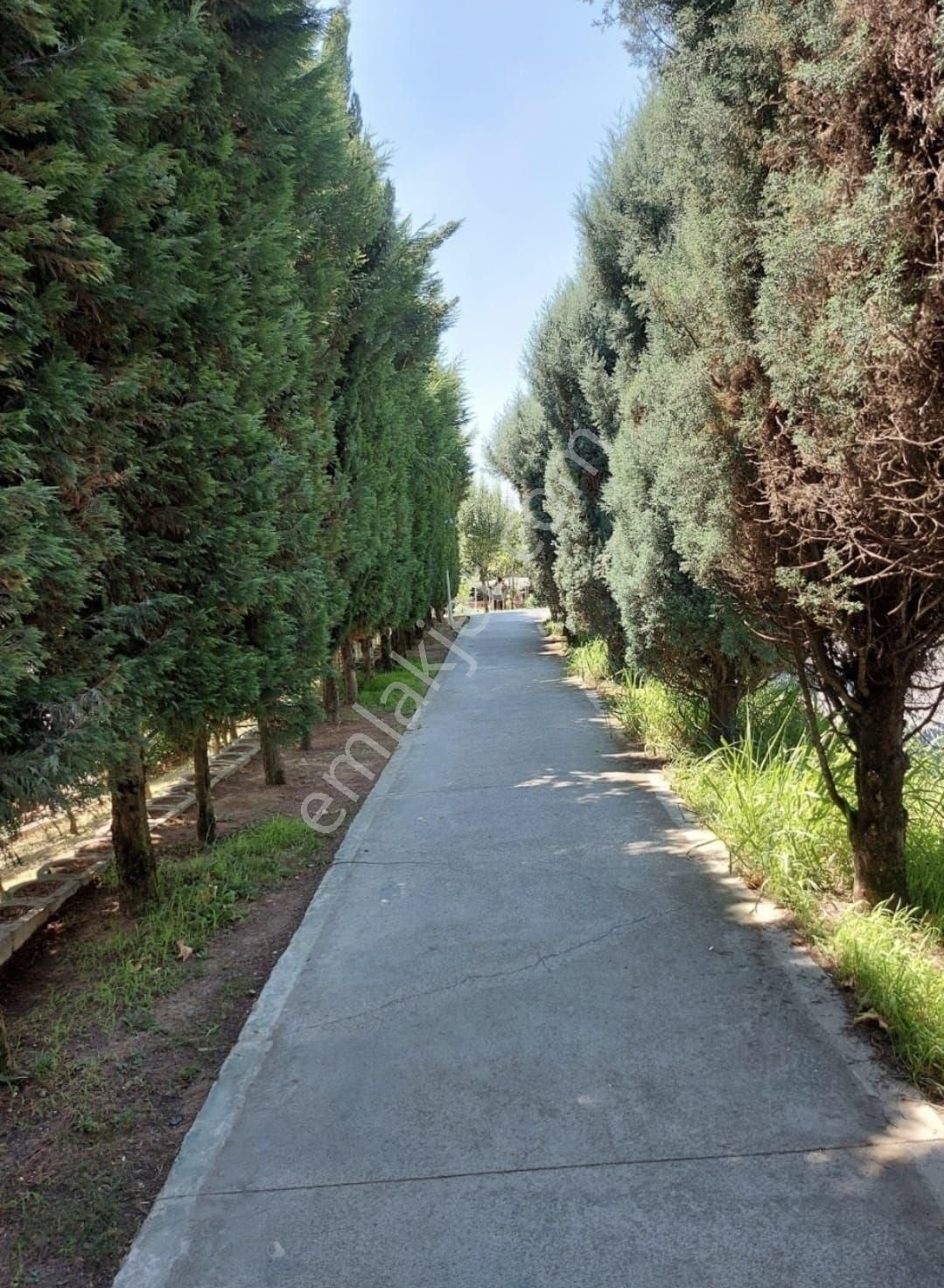 Sahibinden Kiralık 95 M2 Daire - Görsel 9