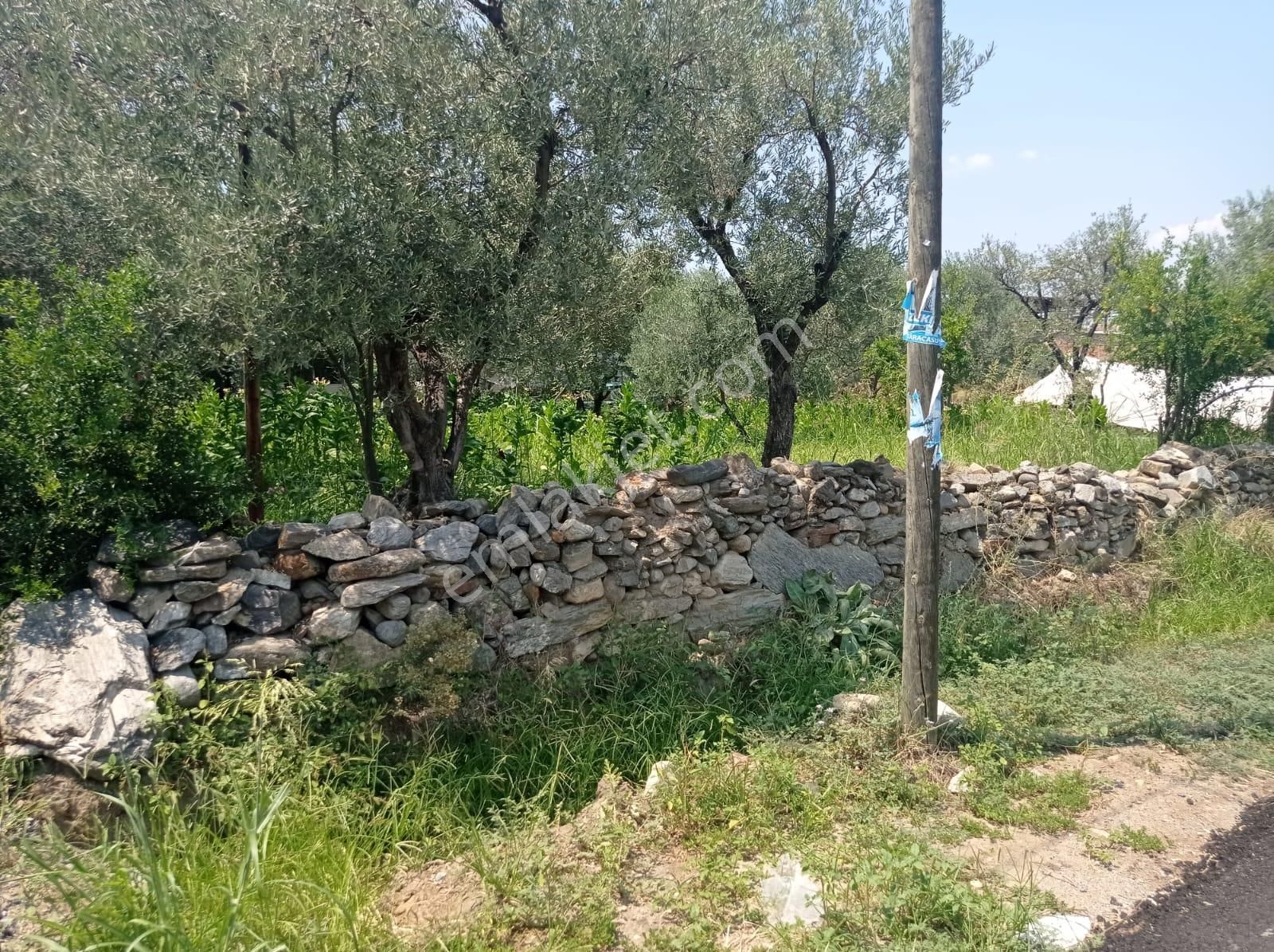 Aydın Karacasu Yenice Mah Satılık - Görsel 18