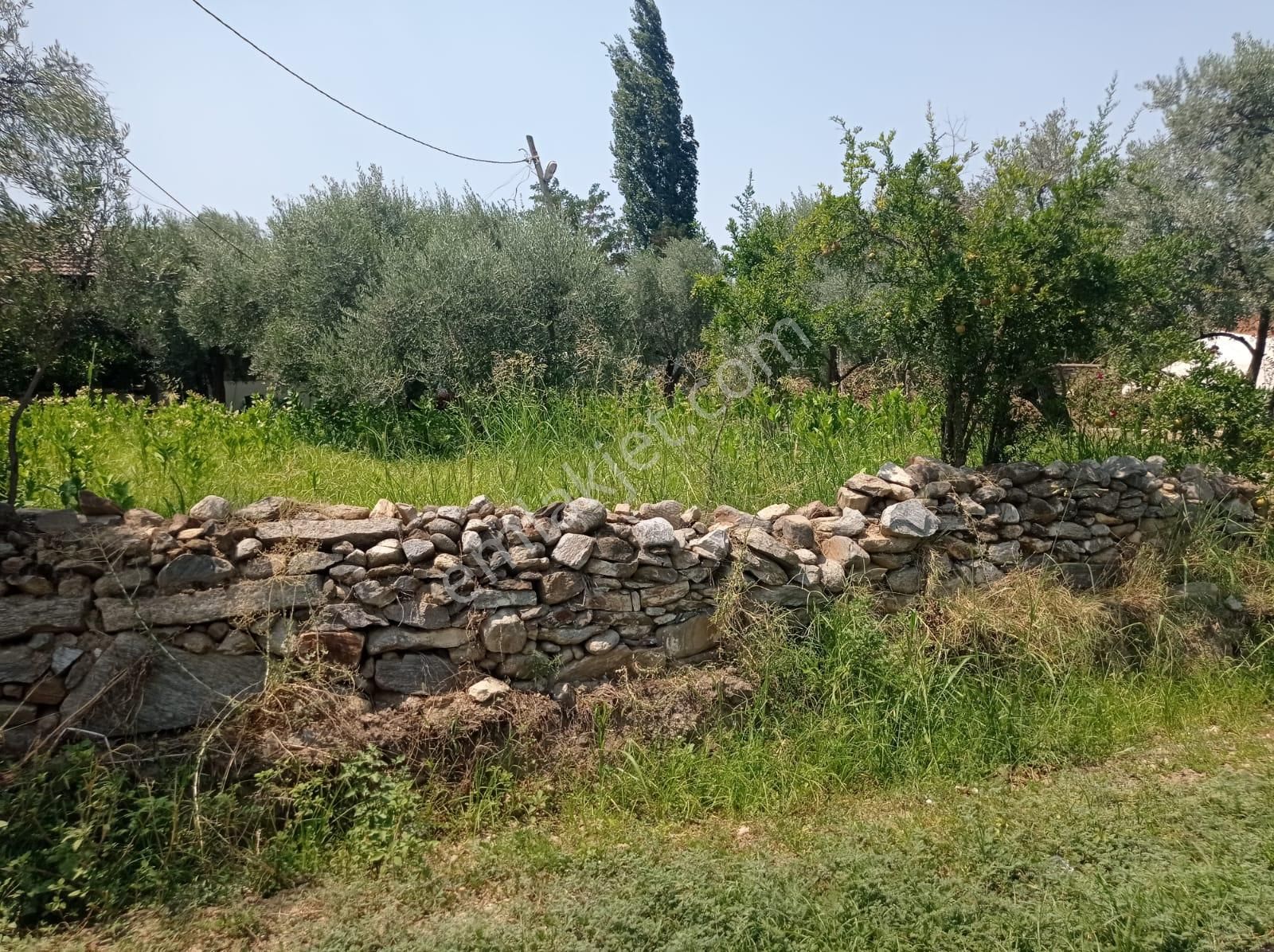 Aydın Karacasu Yenice Mah Satılık - Görsel 20