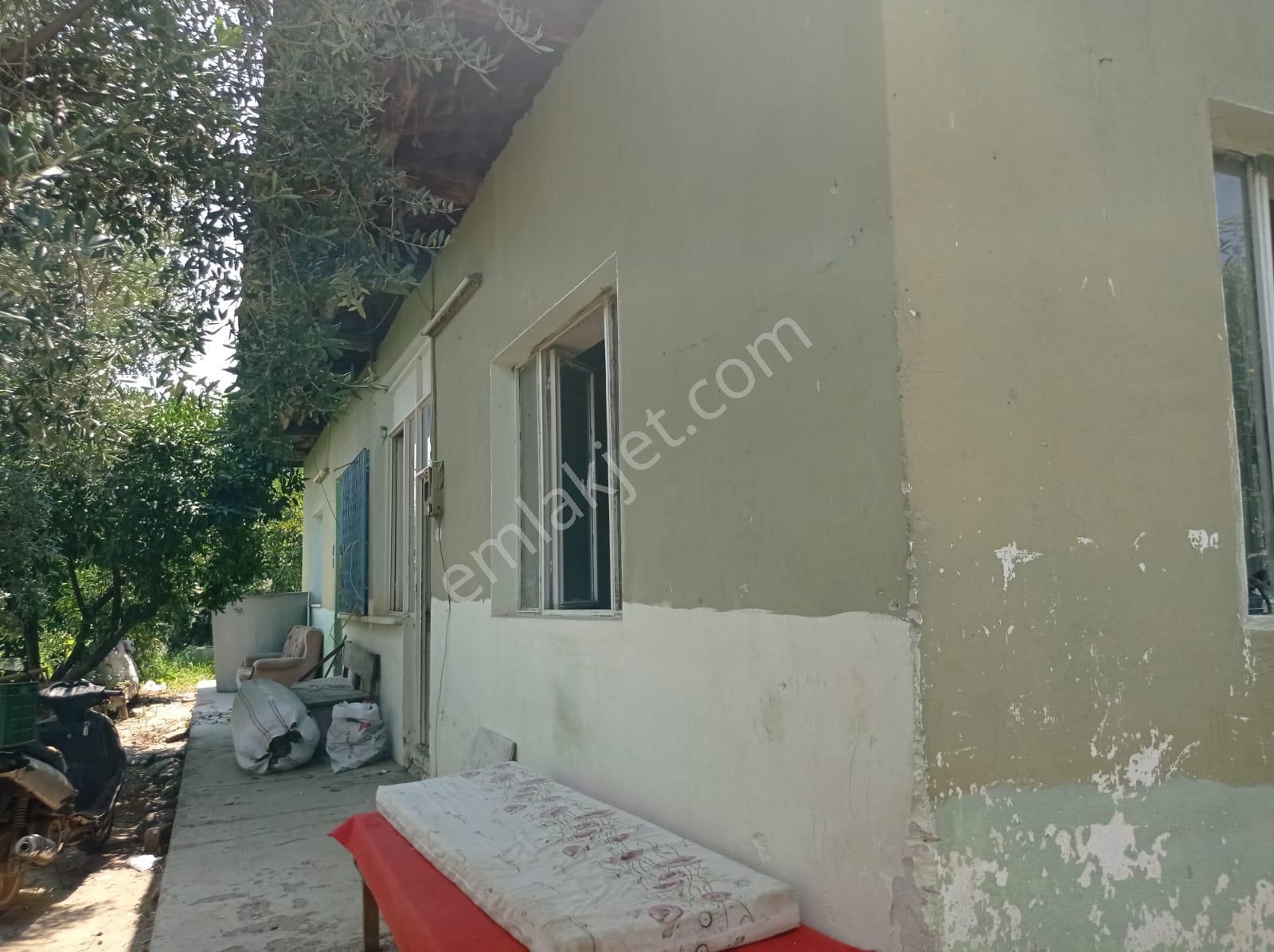 Aydın Karacasu Yenice Mah Satılık - Görsel 10