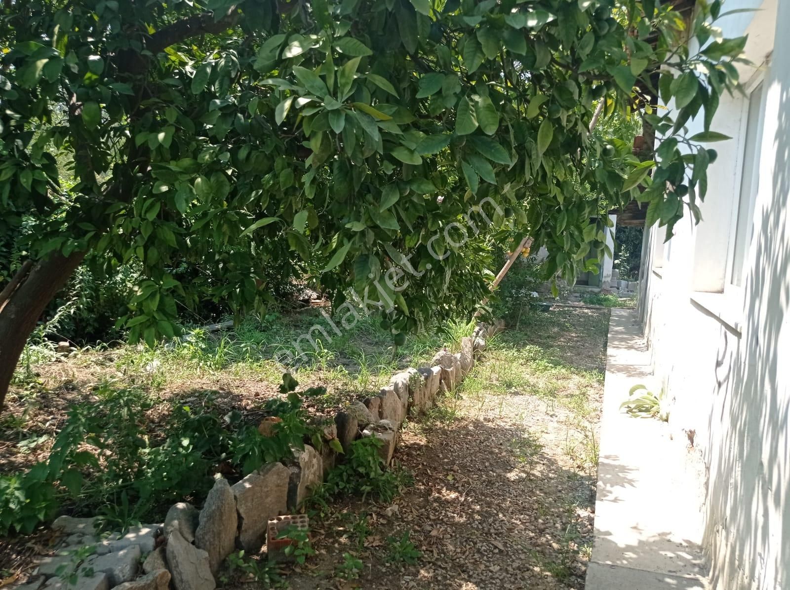 Aydın Karacasu Yenice Mah Satılık - Görsel 12