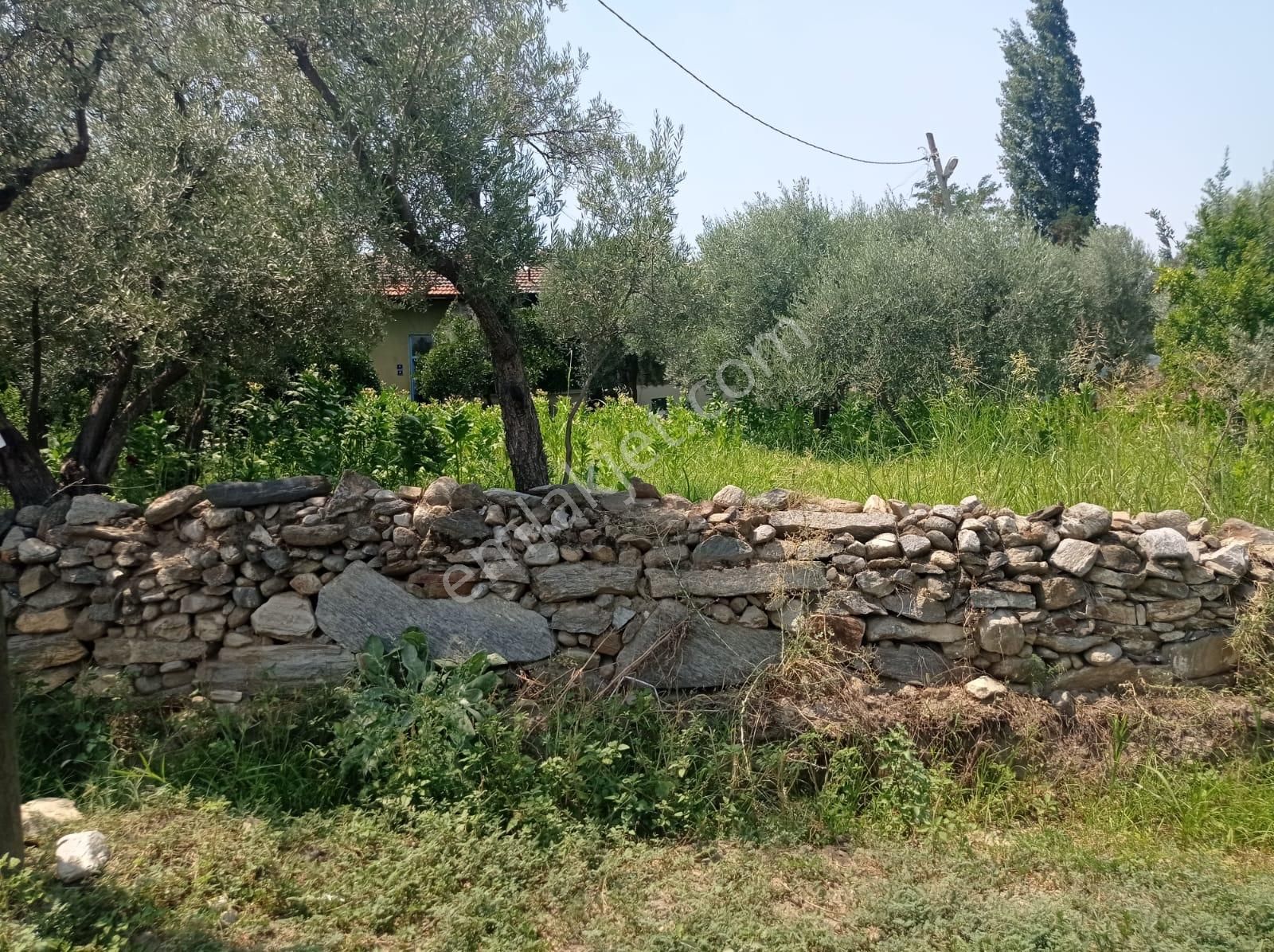 Aydın Karacasu Yenice Mah Satılık - Görsel 19