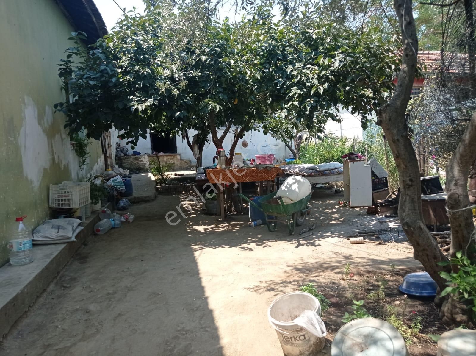 Aydın Karacasu Yenice Mah Satılık - Görsel 8