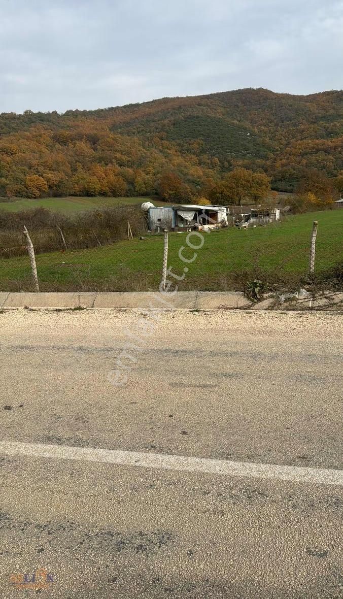 Kestel Gölcük - Görsel 9
