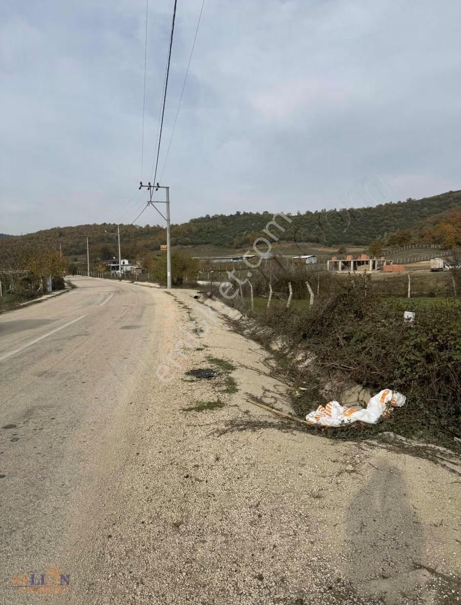 Kestel Gölcük - Görsel 10