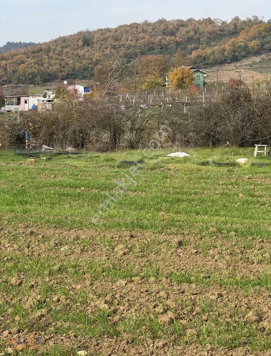 Kestel Gölcük - Görsel 2