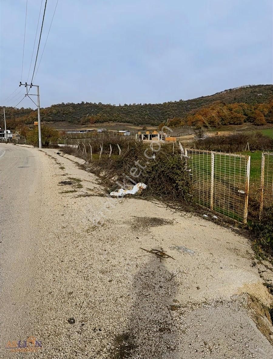Kestel Gölcük - Görsel 20