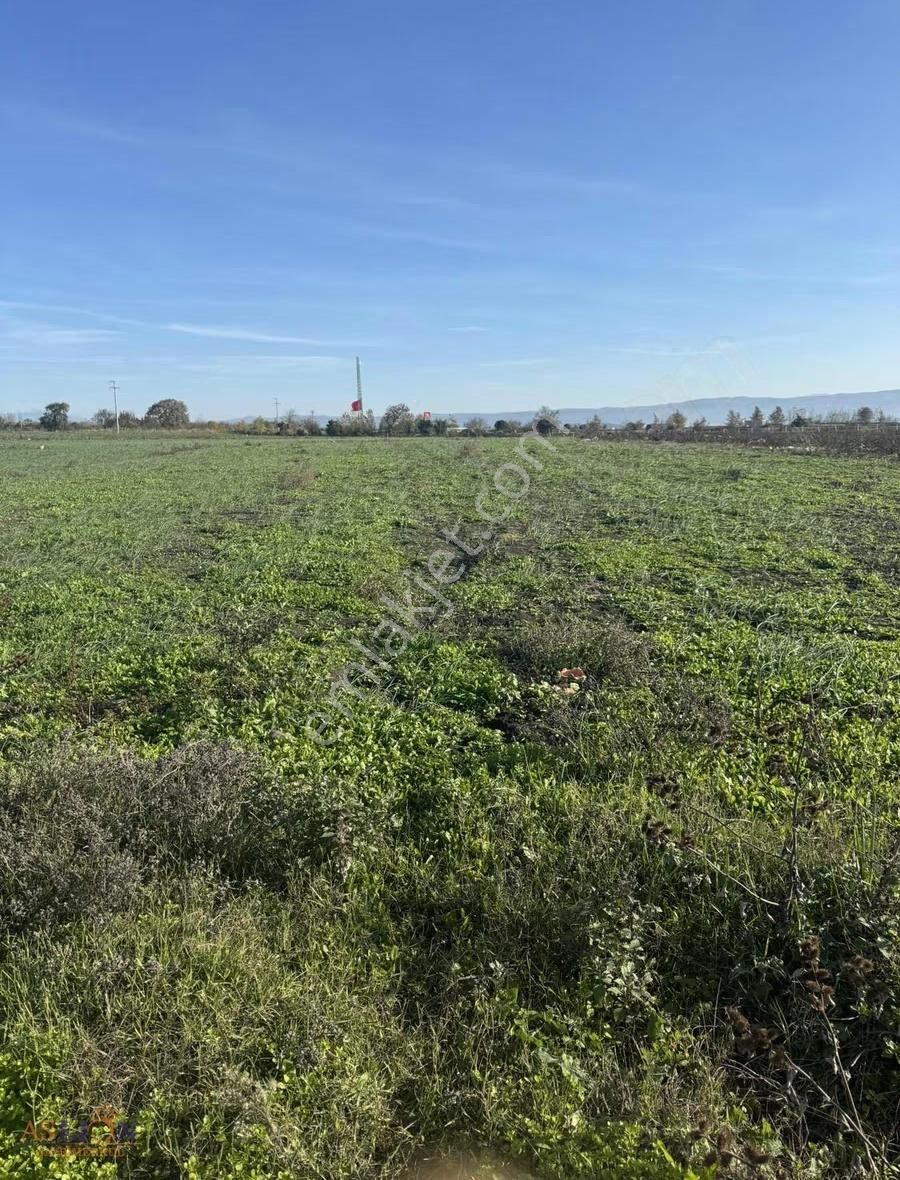 Karacabey Subaşı Harika Bir Konum - Görsel 9