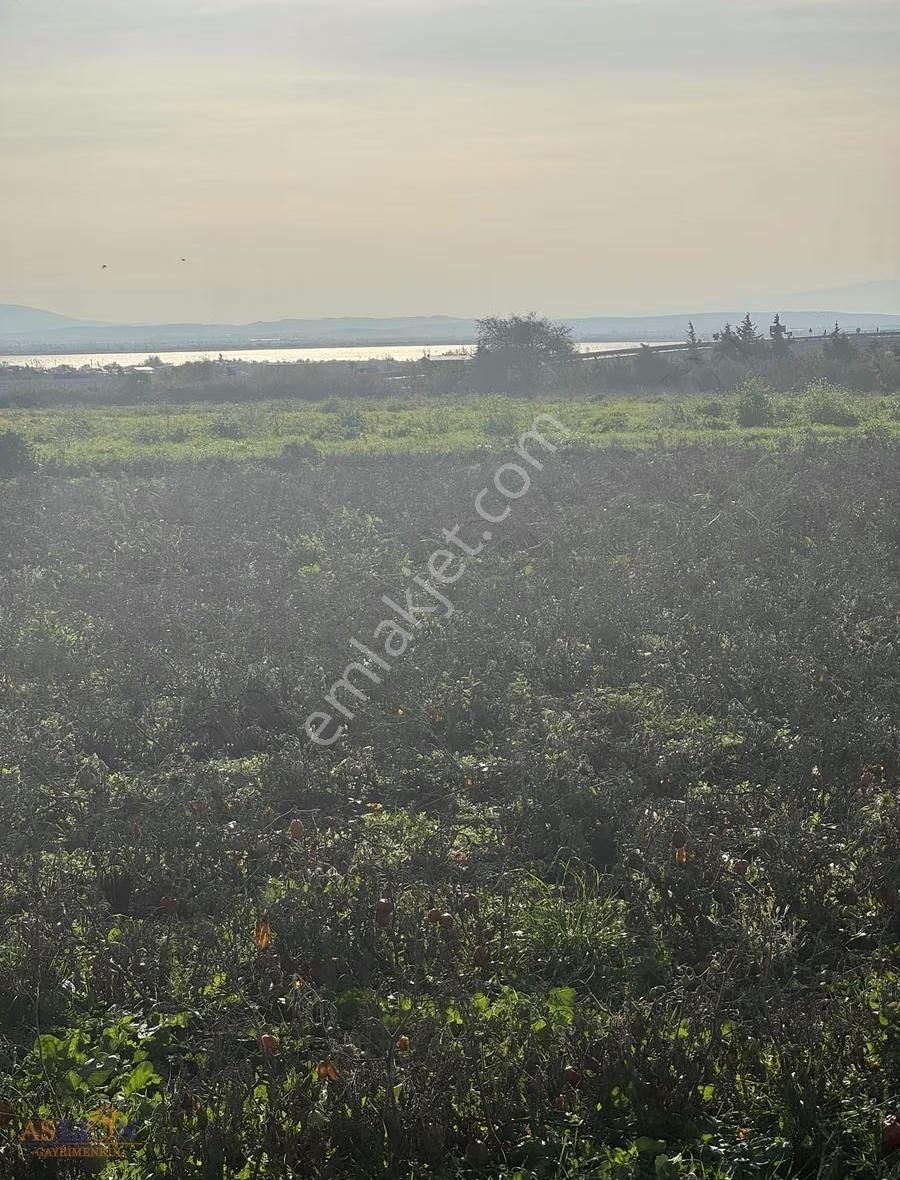 Karacabey Subaşı Harika Bir Konum