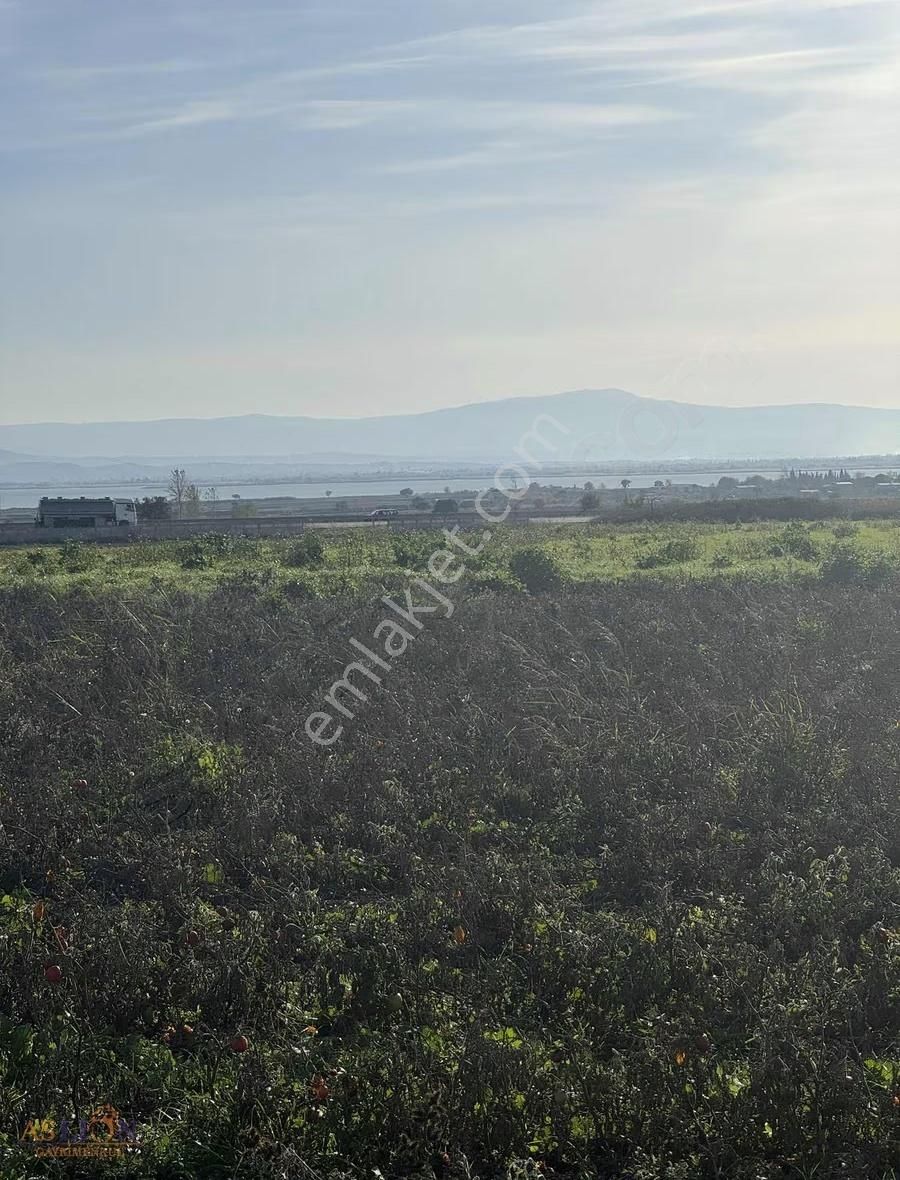 Karacabey Subaşı Harika Bir Konum - Görsel 12