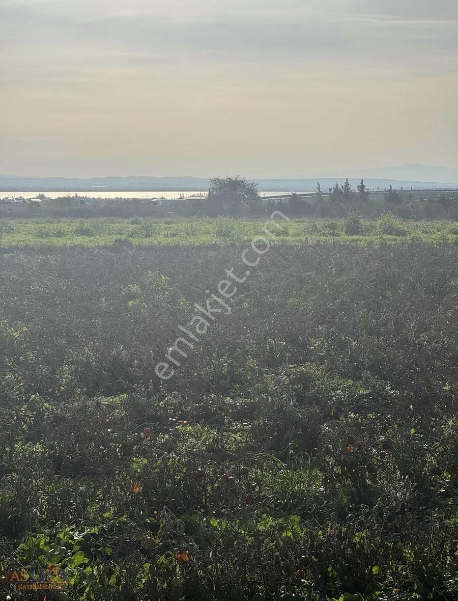 Karacabey Subaşı Harika Bir Konum - Görsel 19