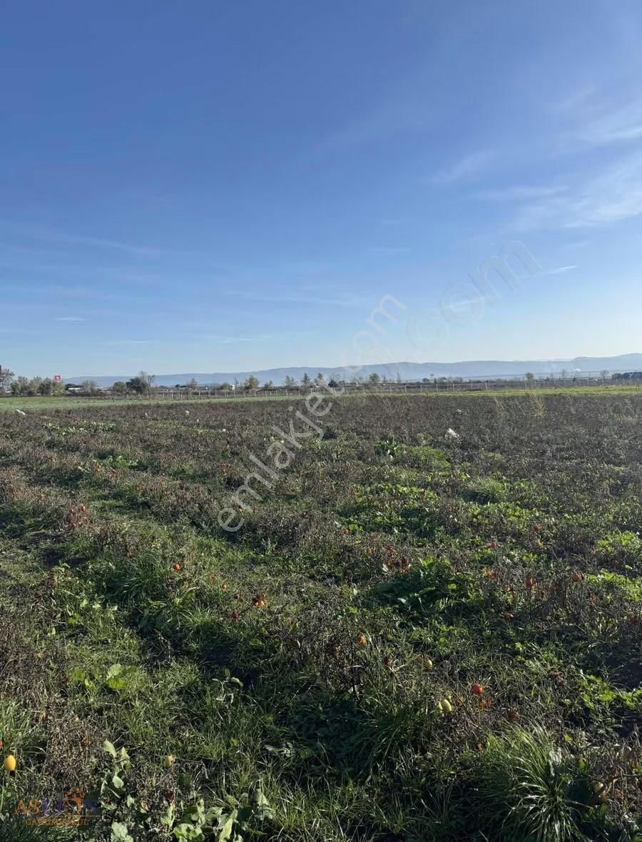 Karacabey Subaşı Harika Bir Konum - Görsel 5