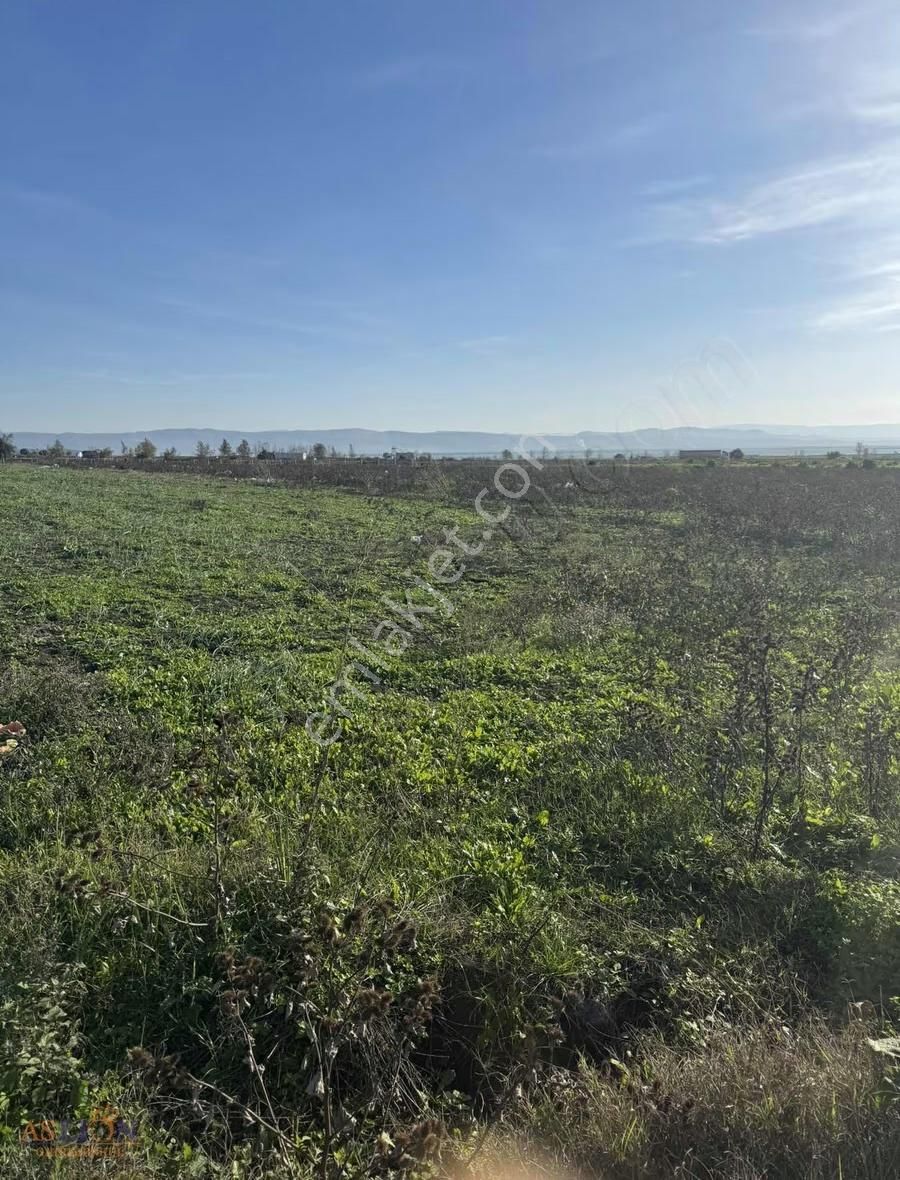 Karacabey Subaşı Harika Bir Konum - Görsel 11