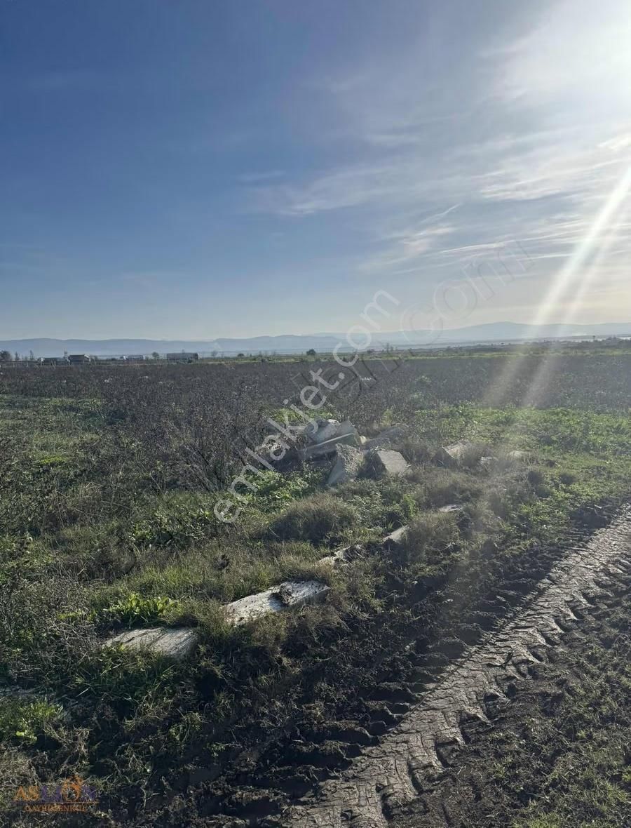 Karacabey Subaşı Harika Bir Konum - Görsel 2