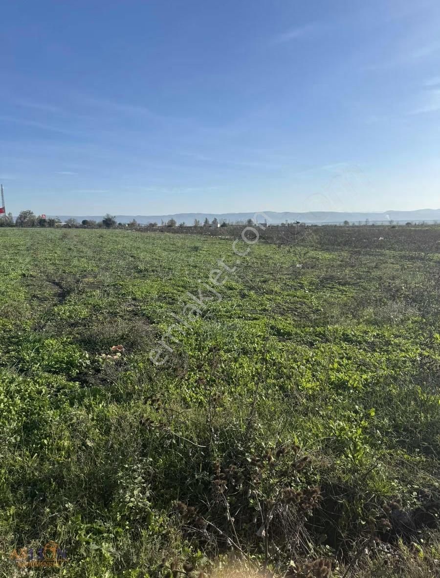 Karacabey Subaşı Harika Bir Konum - Görsel 15