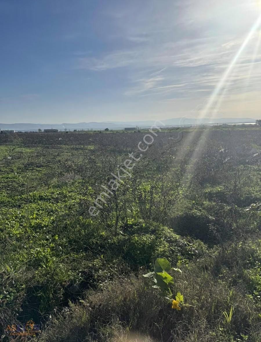 Karacabey Subaşı Harika Bir Konum - Görsel 20