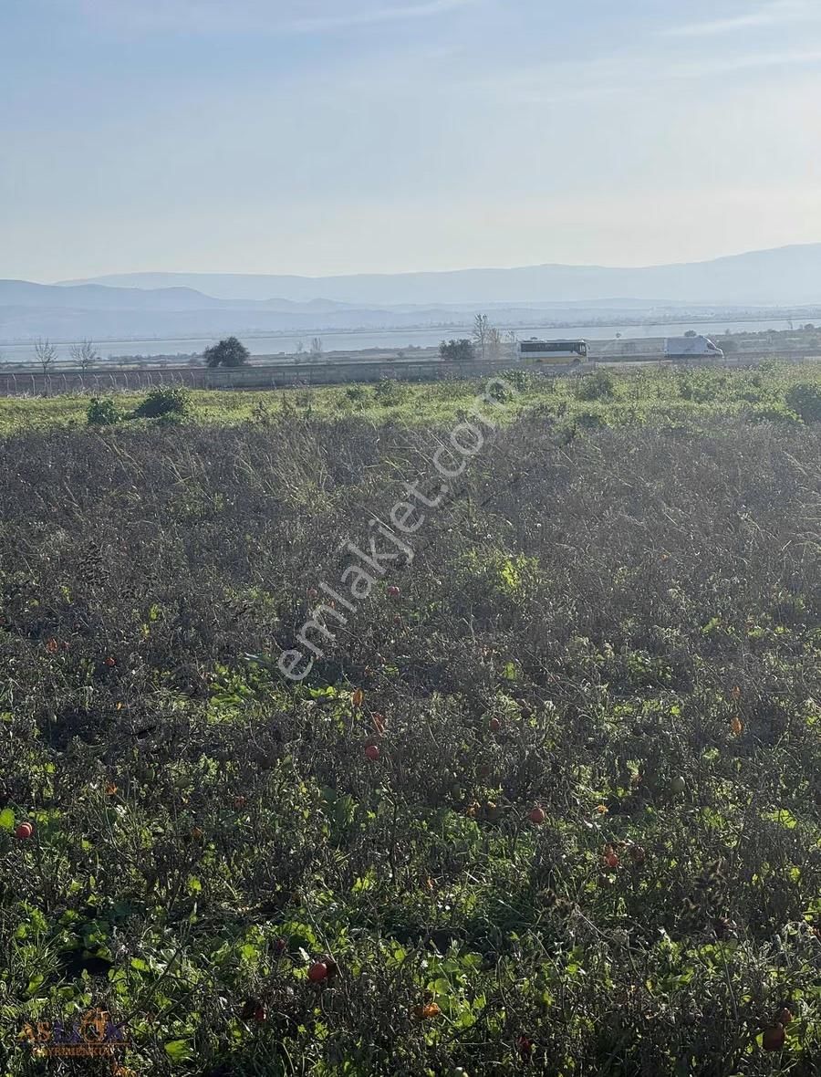 Karacabey Subaşı Harika Bir Konum - Görsel 18