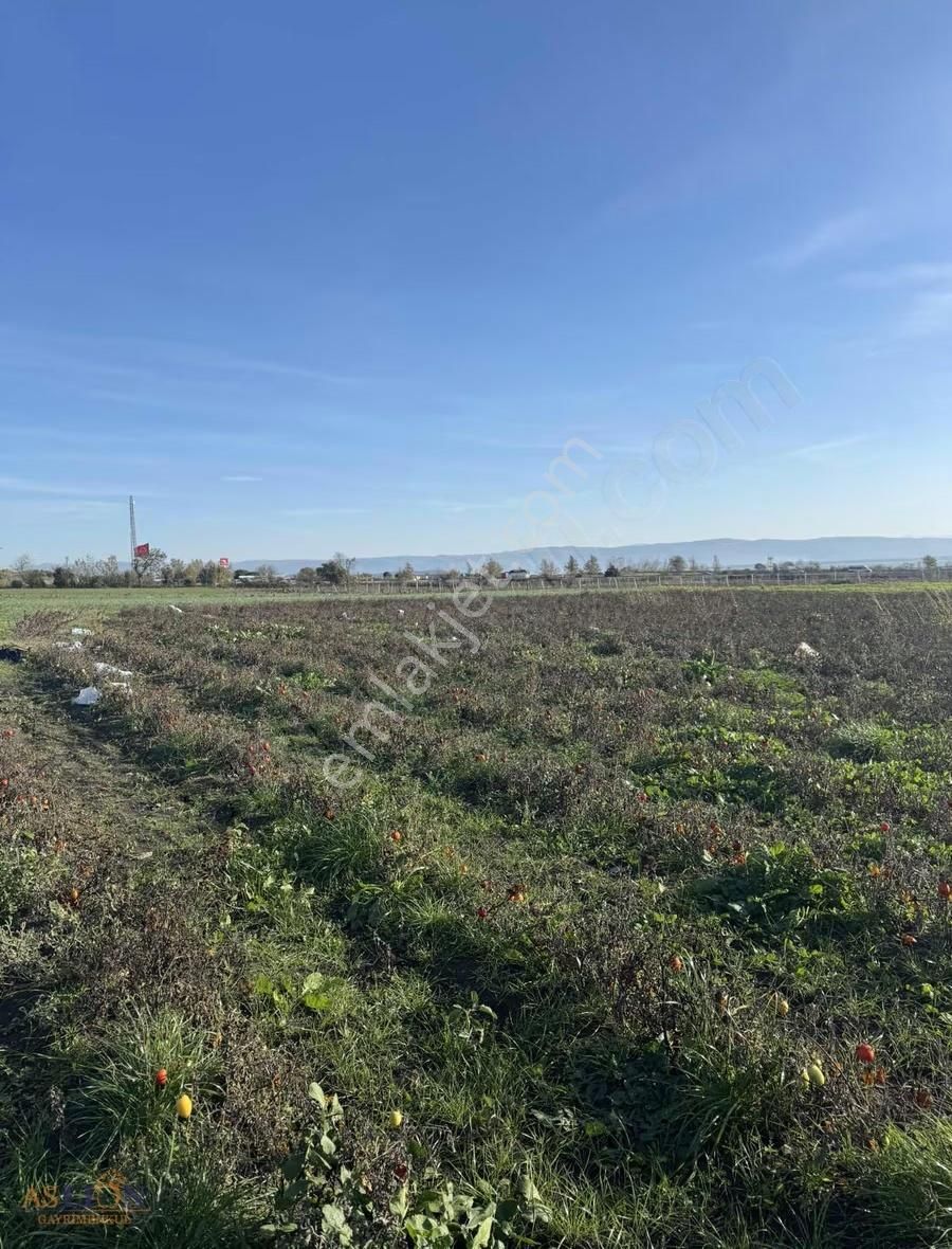 Karacabey Subaşı Harika Bir Konum - Görsel 16