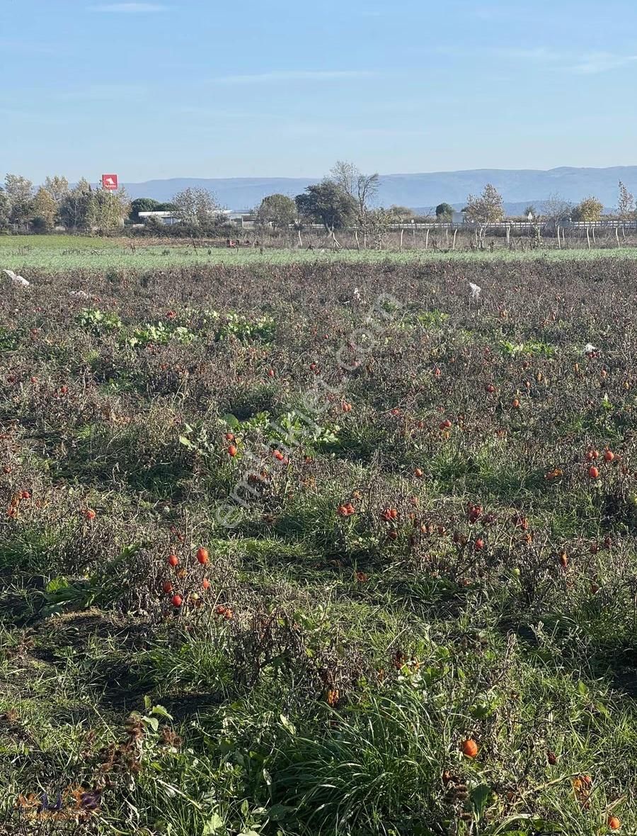 Karacabey Subaşı Harika Bir Konum - Görsel 3