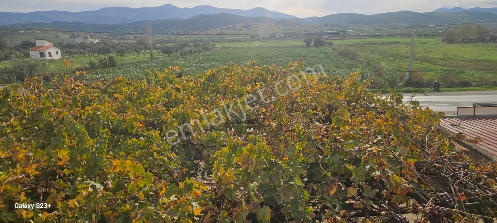 Tiretorbalı Yoluna Cephe 251m² 4+1 Ev + 4 Dükkan + Depo + Garaj - Görsel 9