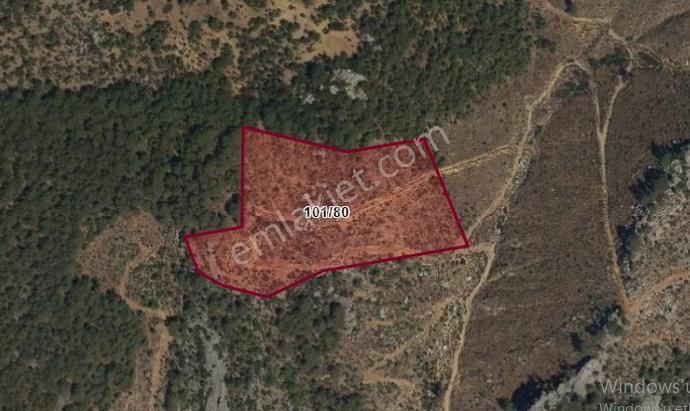 Gazipaşa Öznurtepe Köyünde Satılık 27 Dönüm Tarla – Takasa Uygun, Yolu Ve Temizliği Hazır - Görsel 5