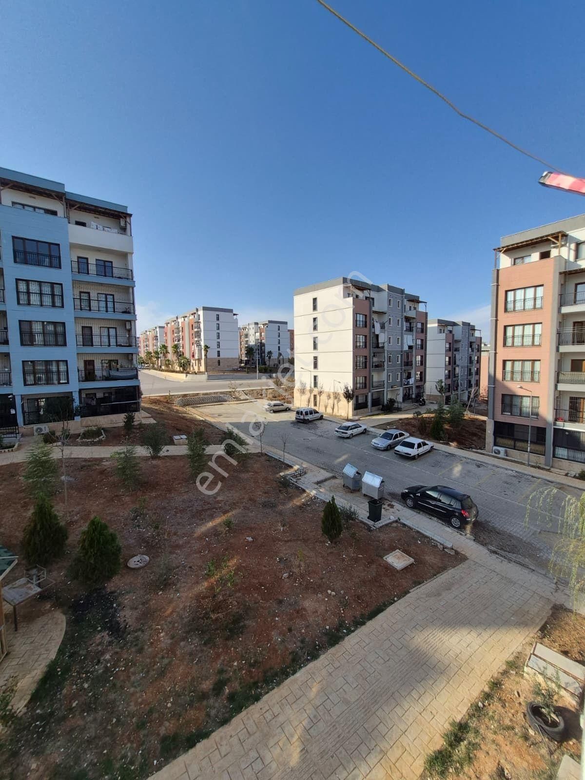 Buruk Toki - Görsel 14