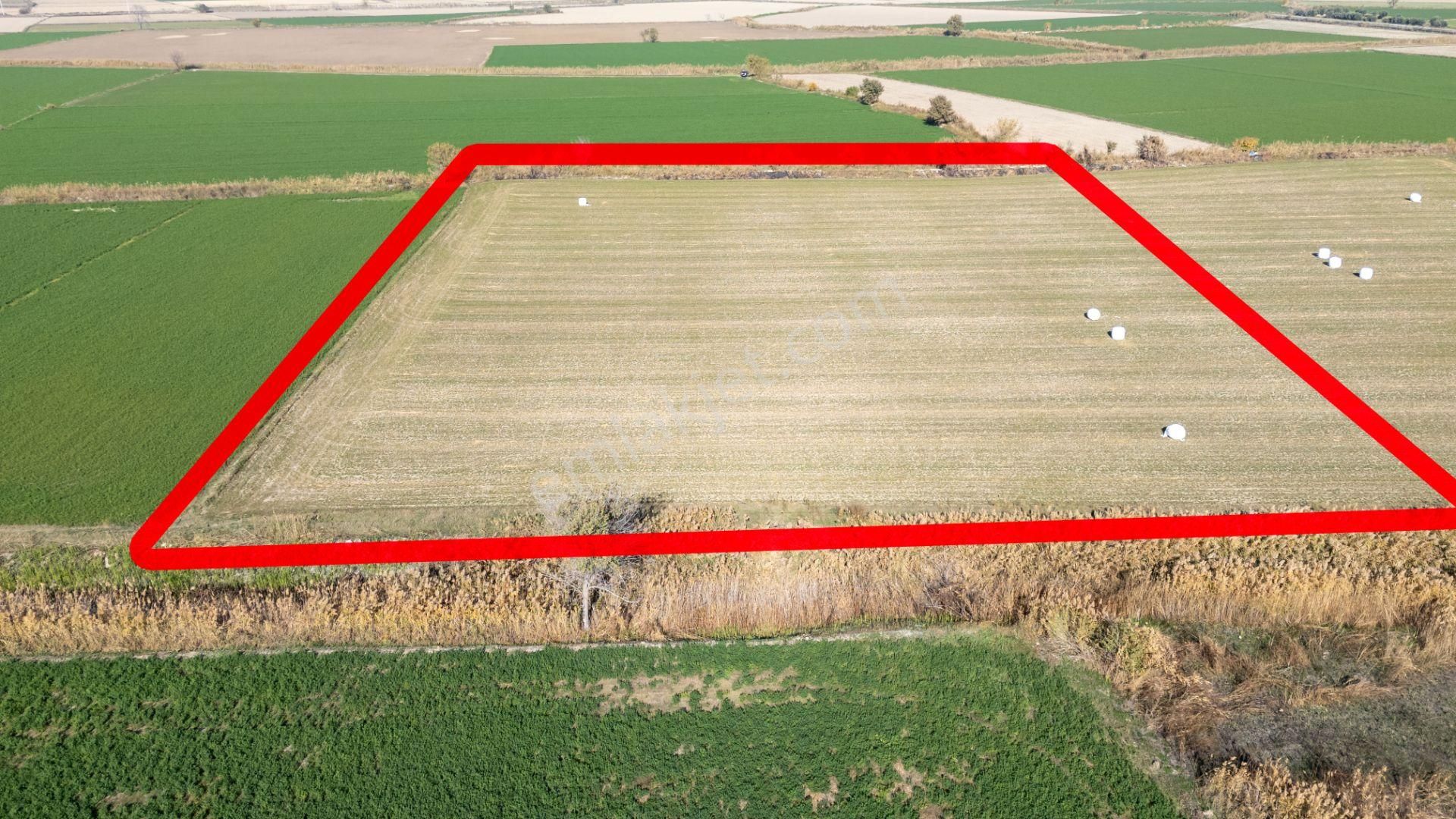 Aydın Kuyucak Azizabat Mahallesinde Satılık 13 Dönüm Tarla