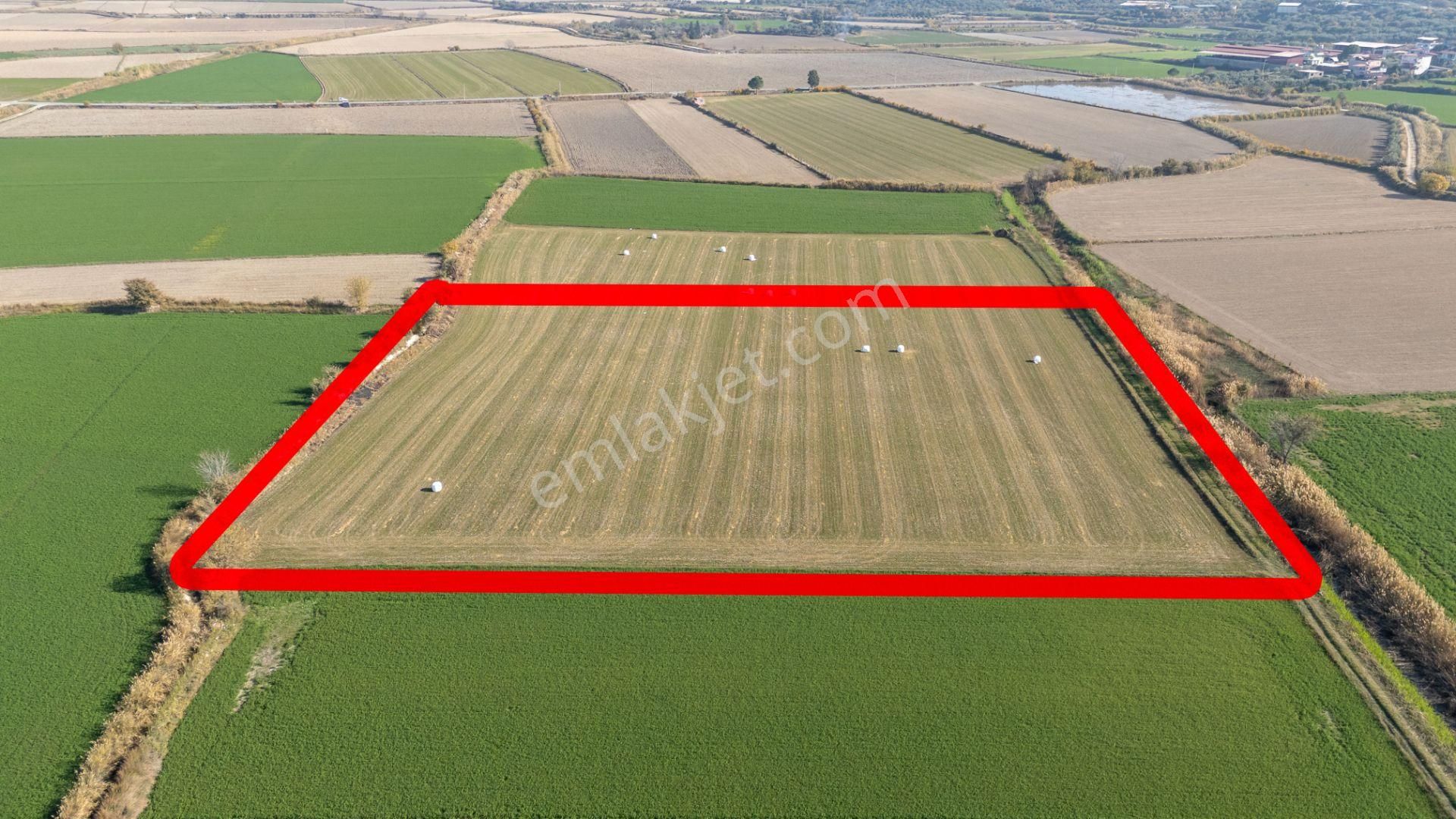 Aydın Kuyucak Azizabat Mahallesinde Satılık 13 Dönüm Tarla - Görsel 6