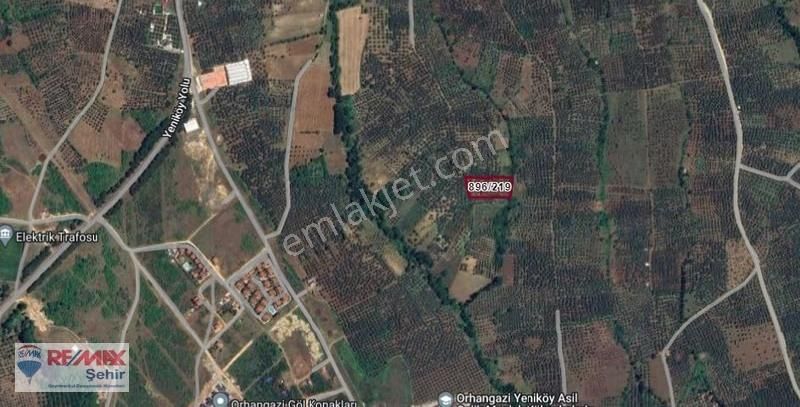 Remax Yalova'dan Orhangazi Yeniköy'de Uygun Zeytinlik - Görsel 3