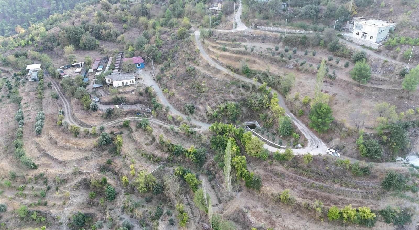 Alanya Sapaderede 2.850 M2 Tarla - Görsel 2