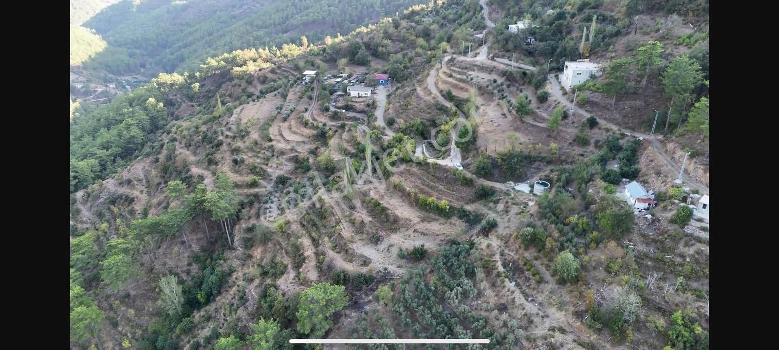 Alanya Sapaderede 2.850 M2 Tarla - Görsel 5