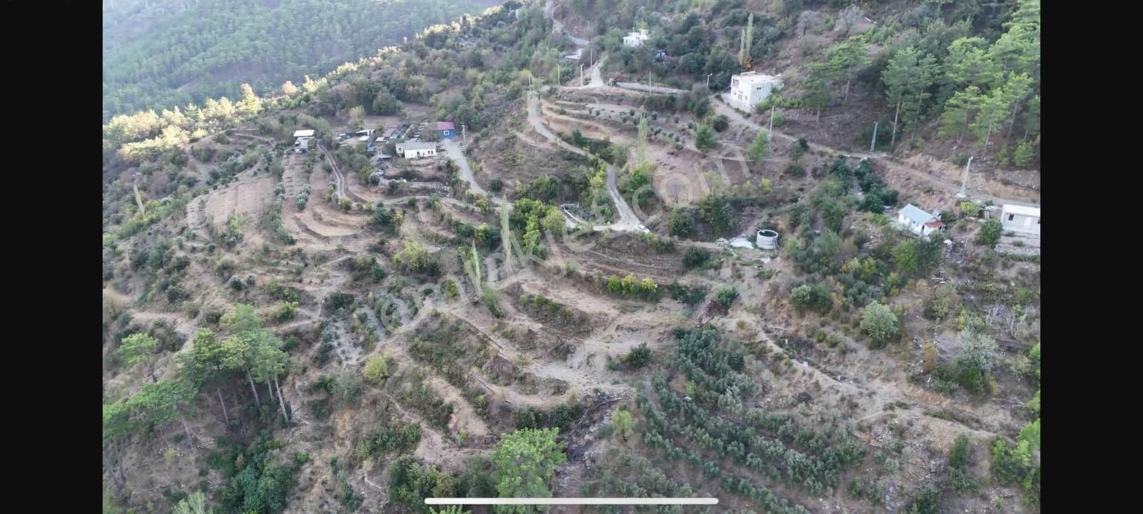 Alanya Sapaderede 2.850 M2 Tarla - Görsel 4