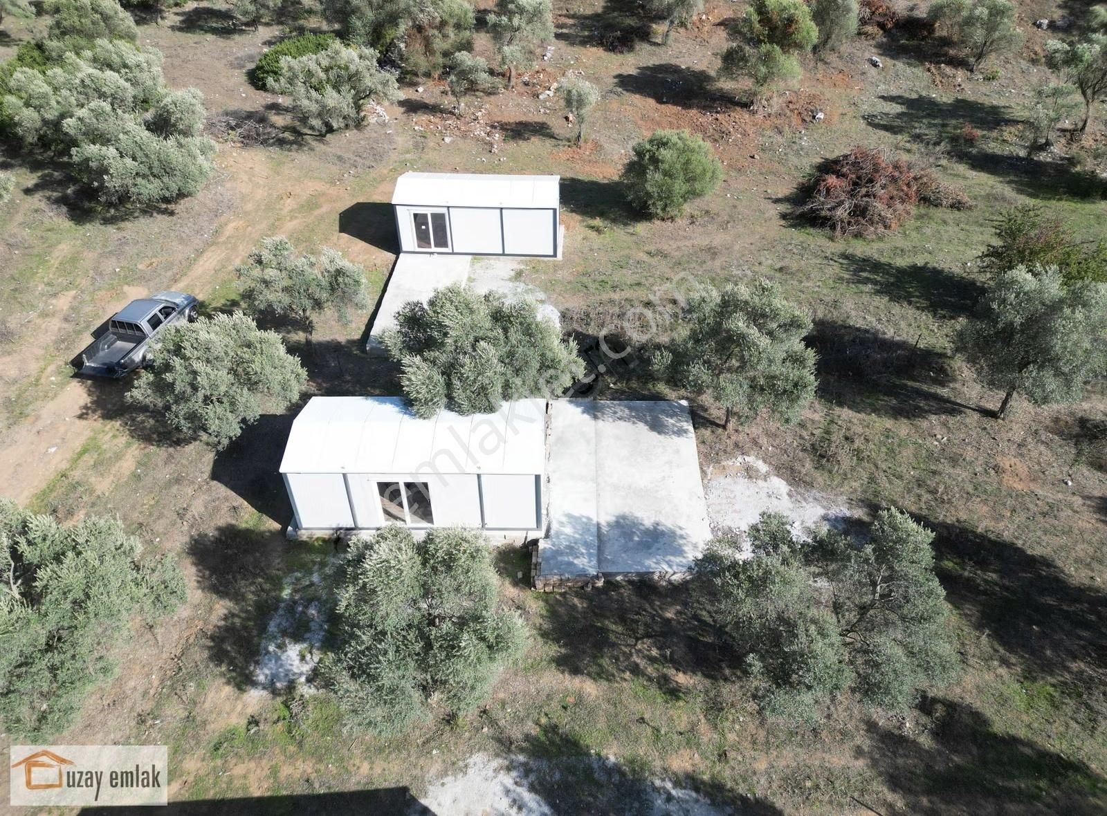 Muğla Milas Gürçamlarda Satılık 830m2 Zeytinli Tarla - Görsel 7